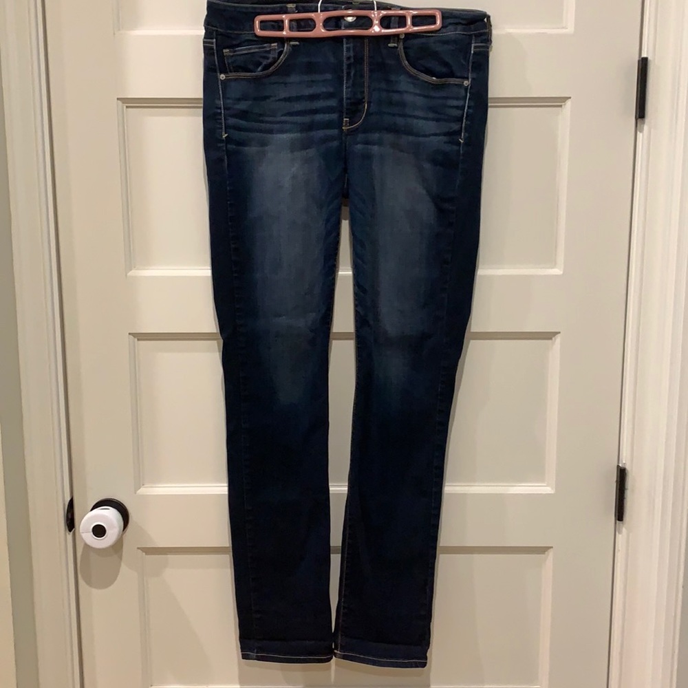 American Eagle Outfitters women’s skinny jean Long